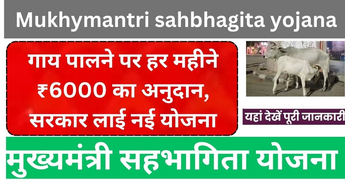 Mukhymantri sahbhagita yojana Mukhymantri sahbhagita yojana