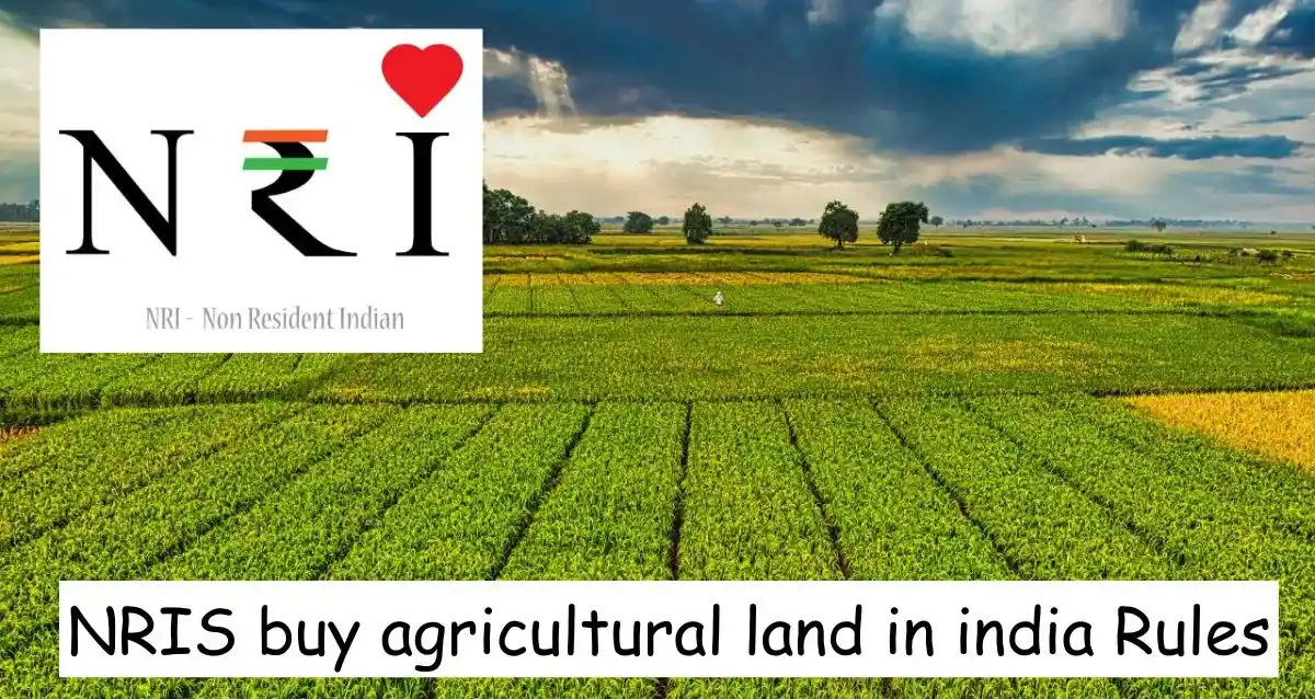 NRIS buy agricultural land in india
